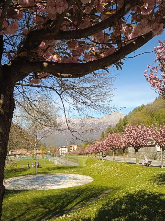Mountains And Lake Como Apartments Вальброна Экстерьер фото